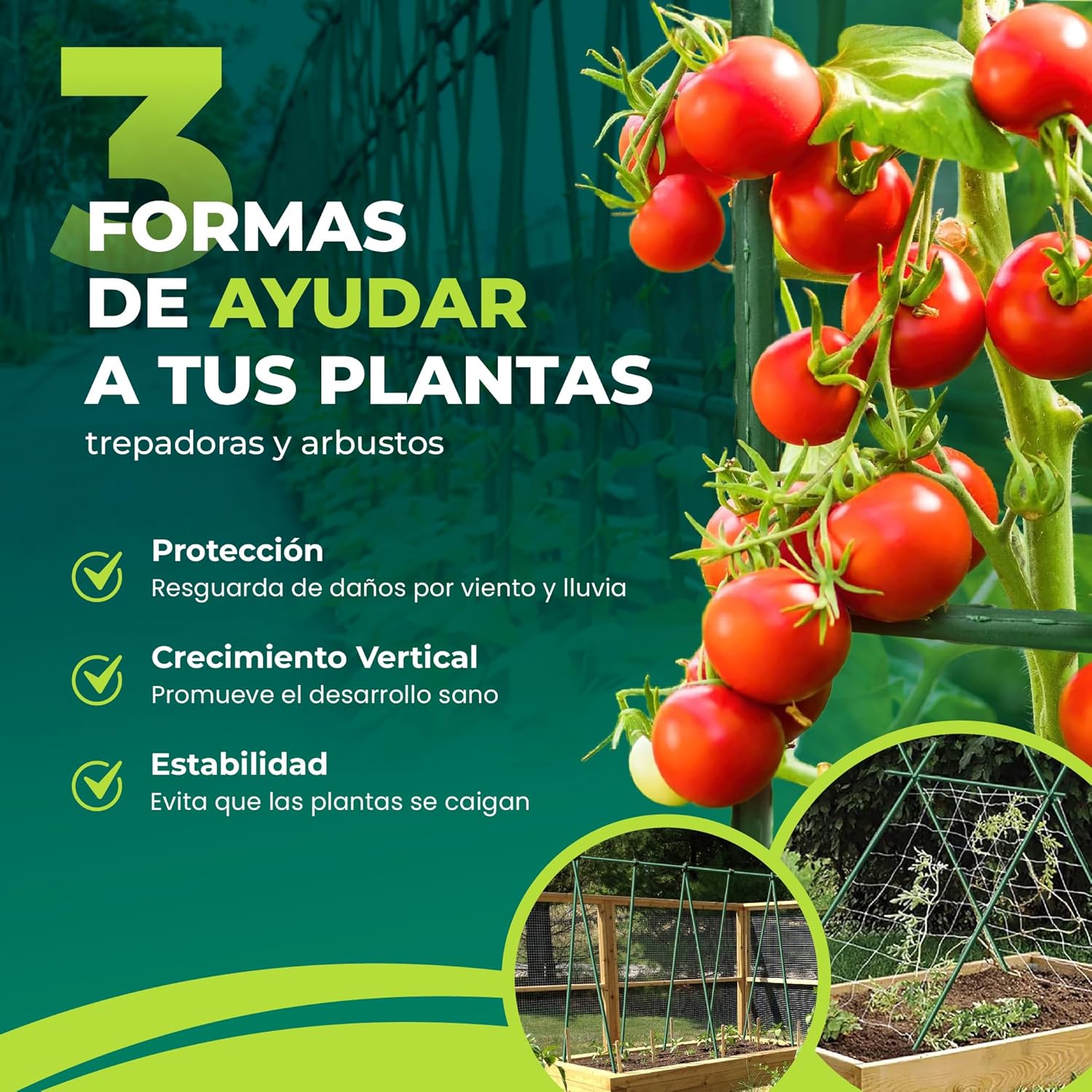 Pack 30 Tutores 180 cm de Acero Recubiertos de PVC - Imagen 2