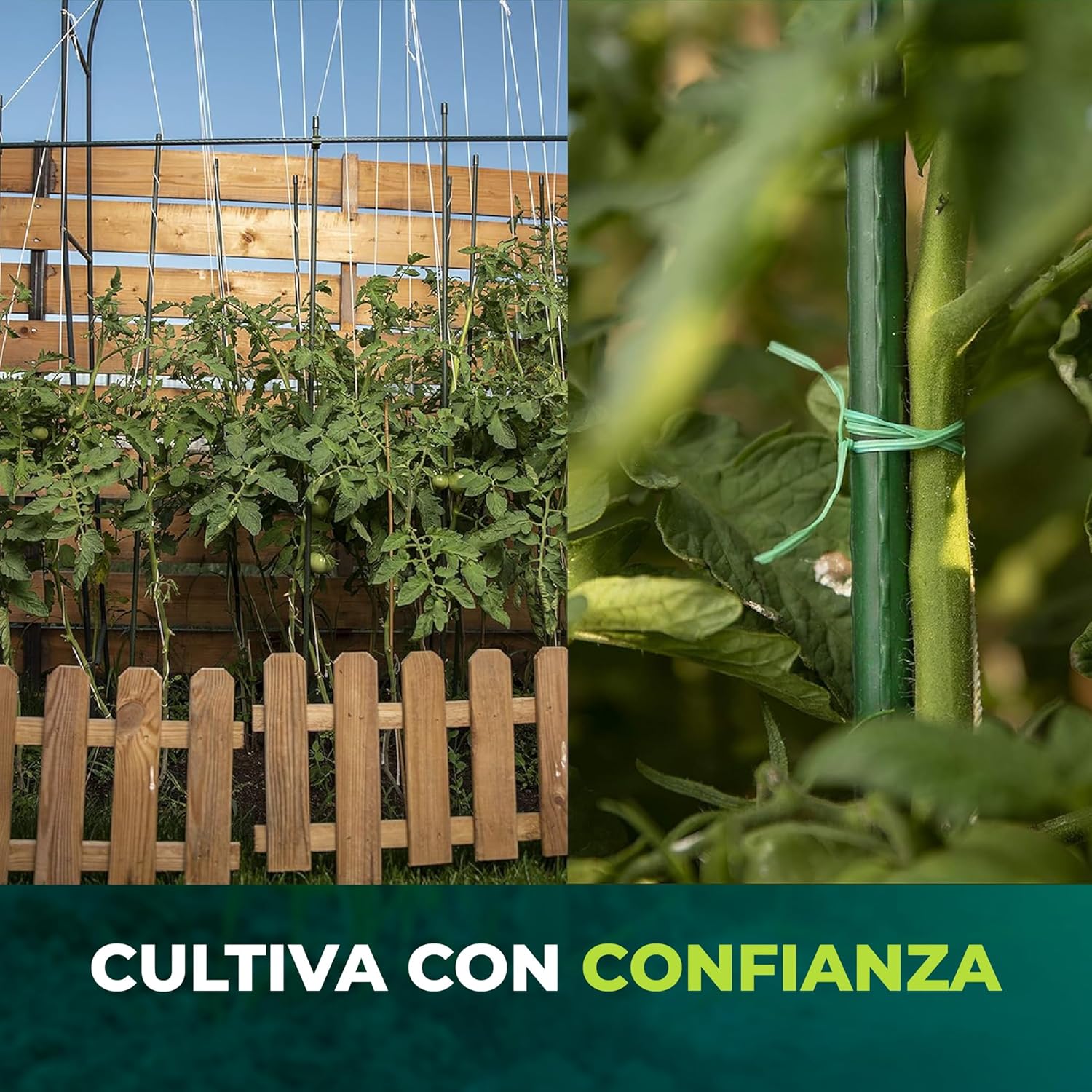 Pack 30 Tutores 180 cm de Acero Recubiertos de PVC - Imagen 7