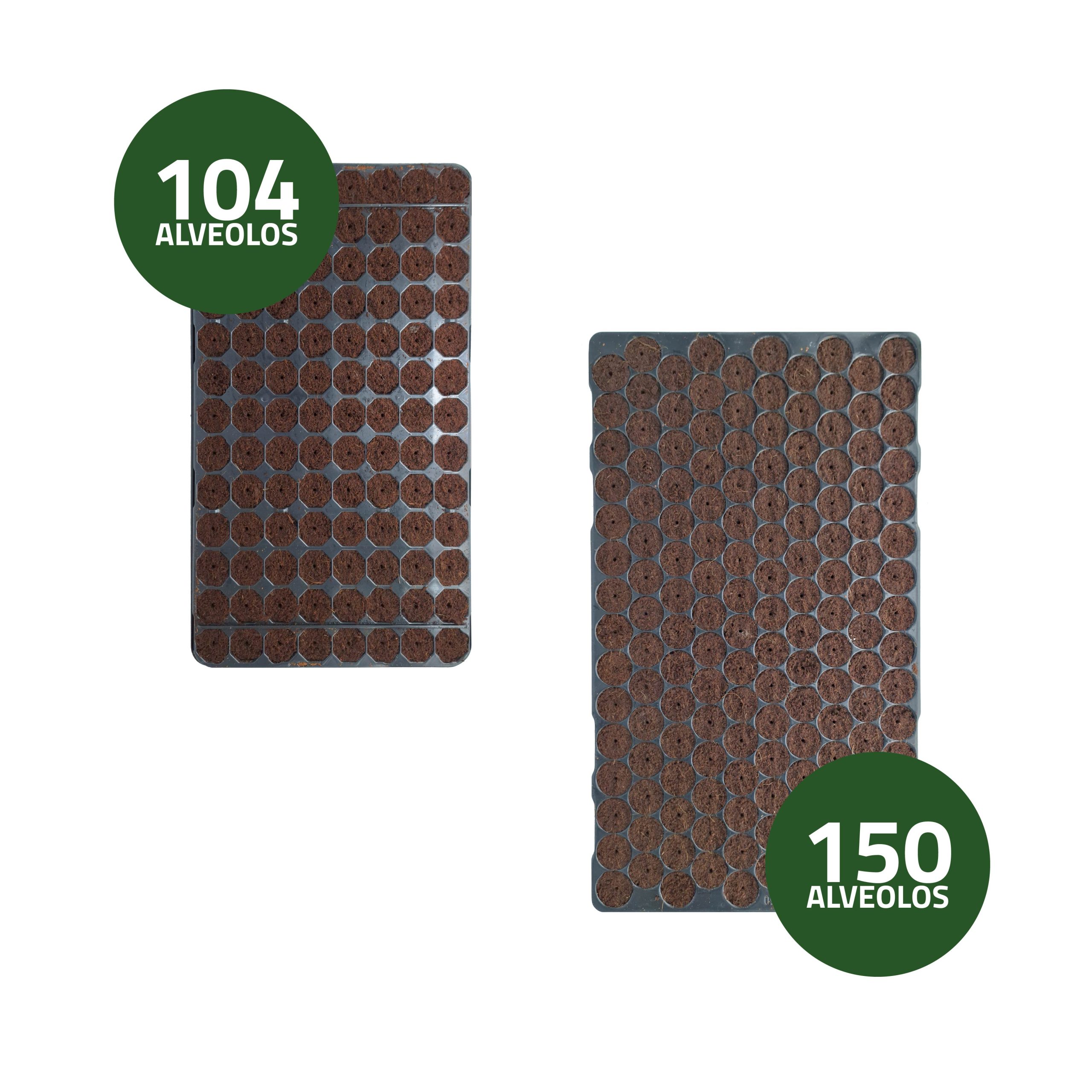 Semilleros Húmedos Bandeja de Germinación