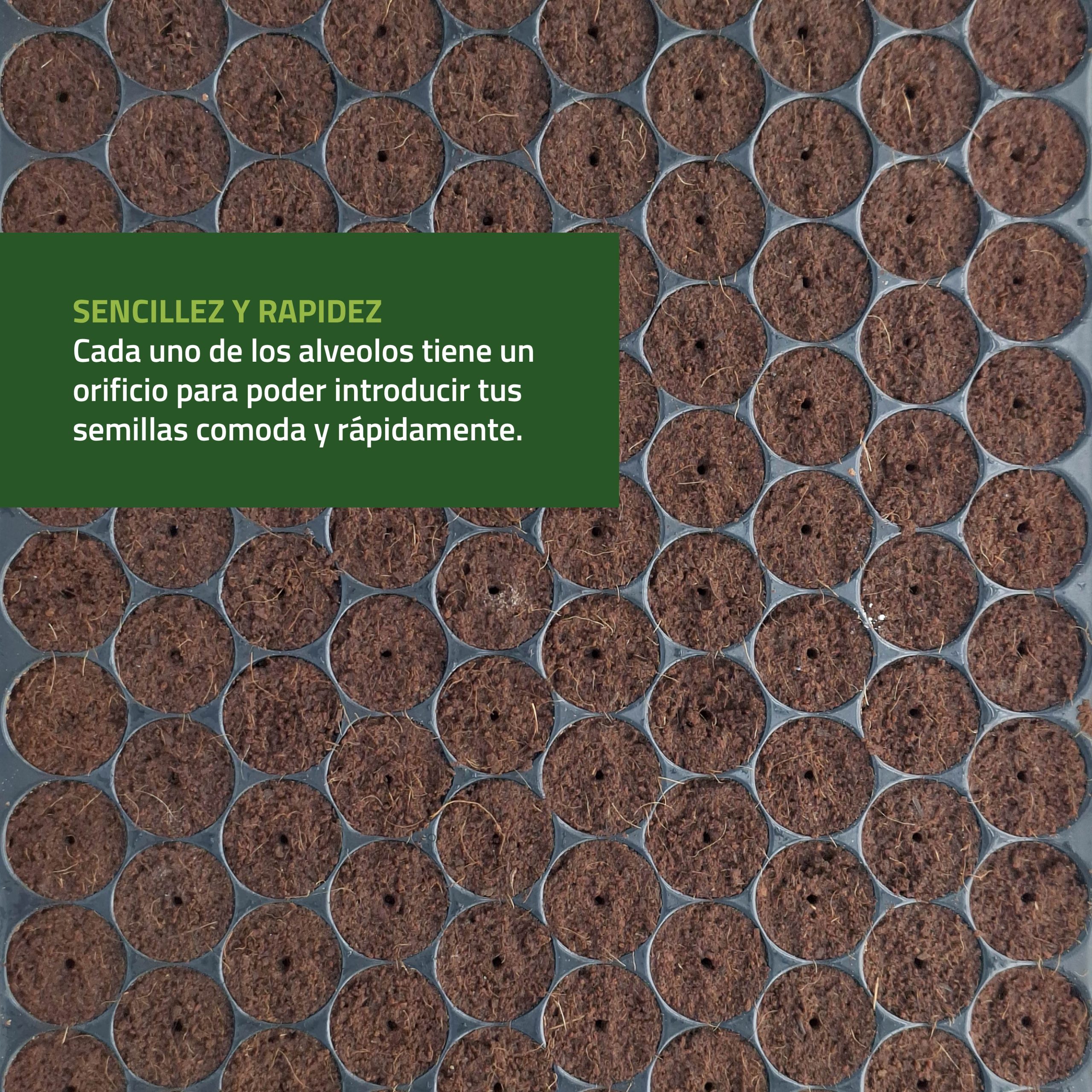 Semilleros Húmedos Bandeja de Germinación - Imagen 4