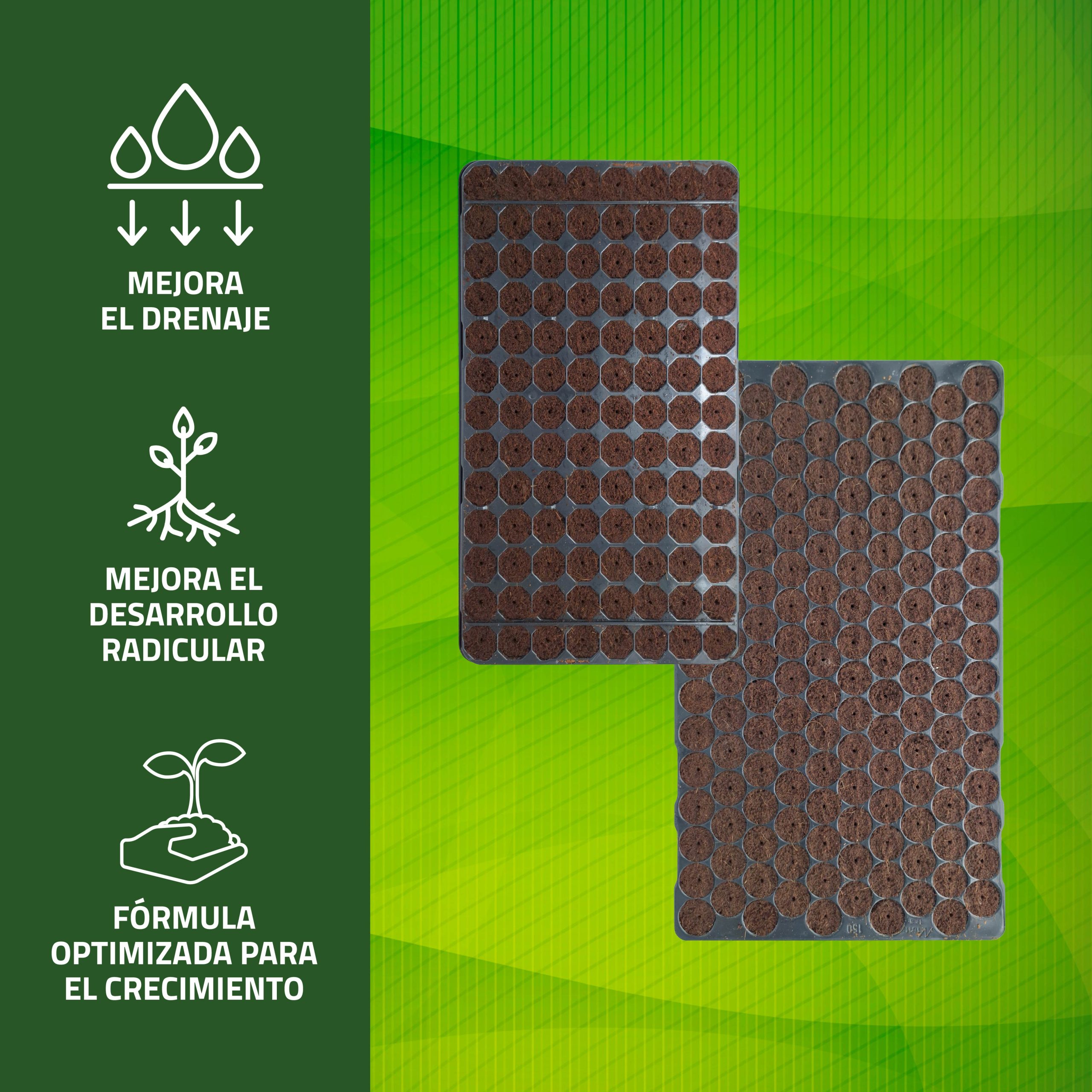 Semilleros Húmedos Bandeja de Germinación - Imagen 2