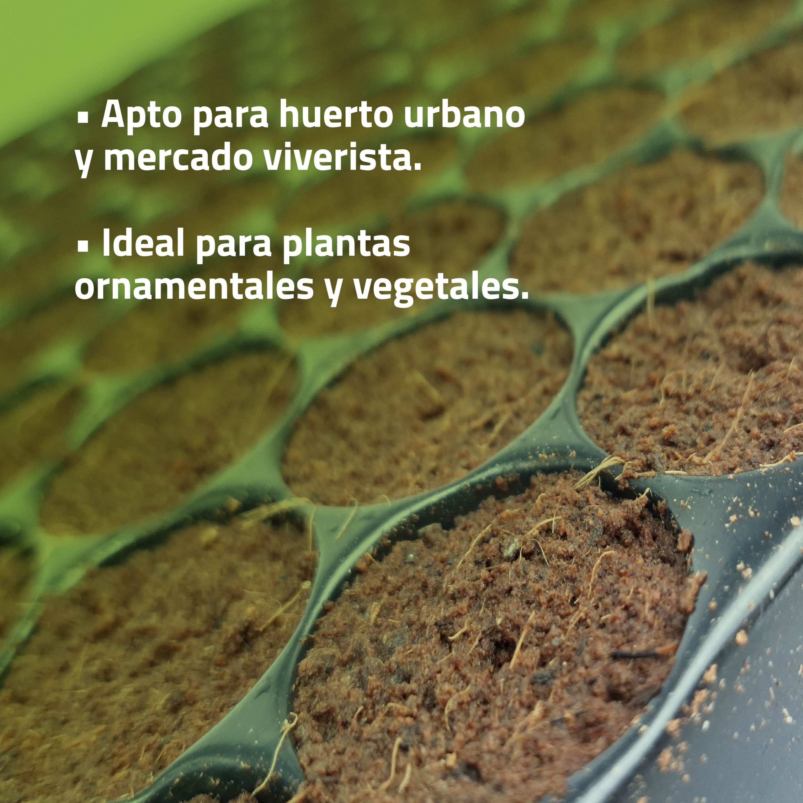 Semilleros Húmedos Bandeja de Germinación - Imagen 5