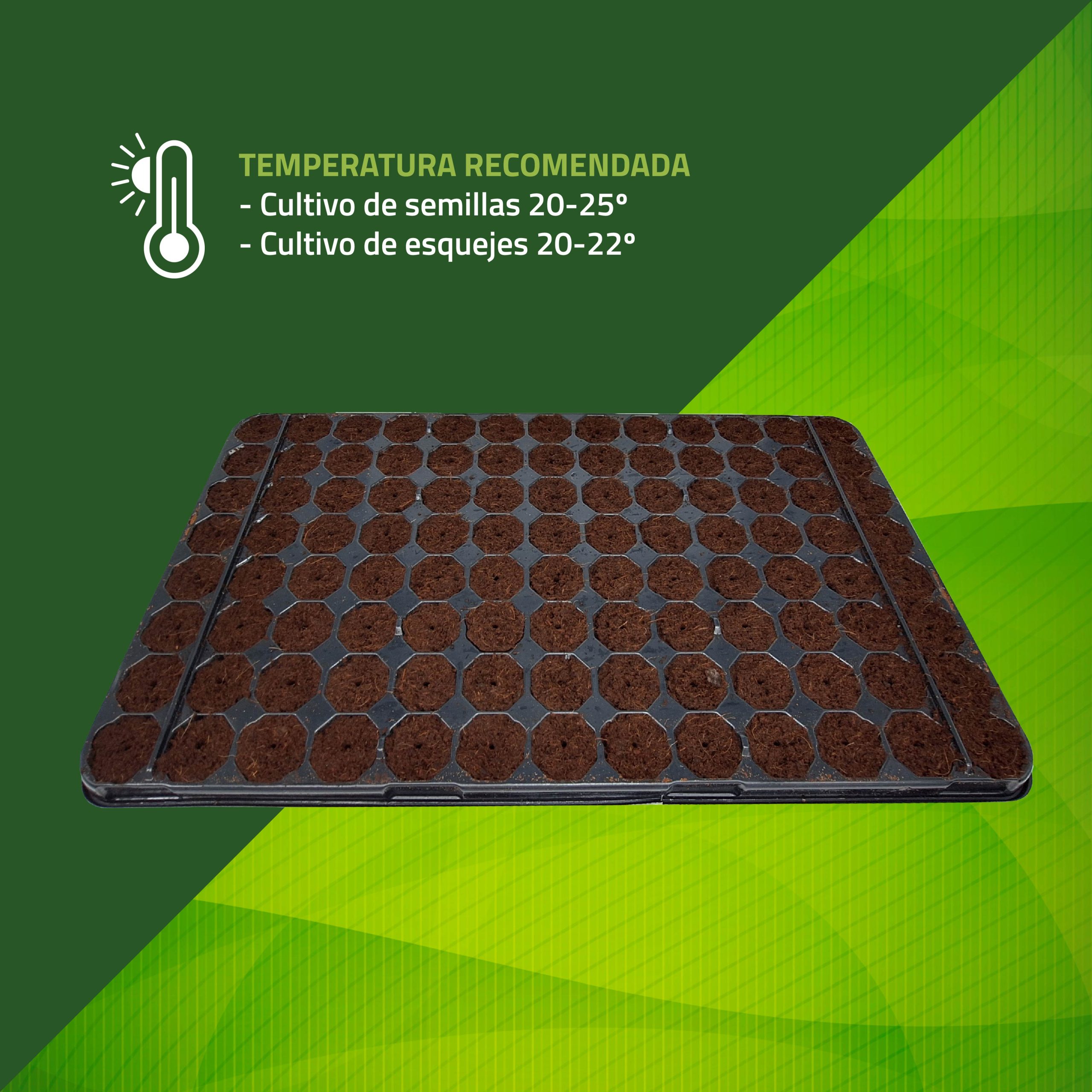 Semilleros Húmedos Bandeja de Germinación - Imagen 3