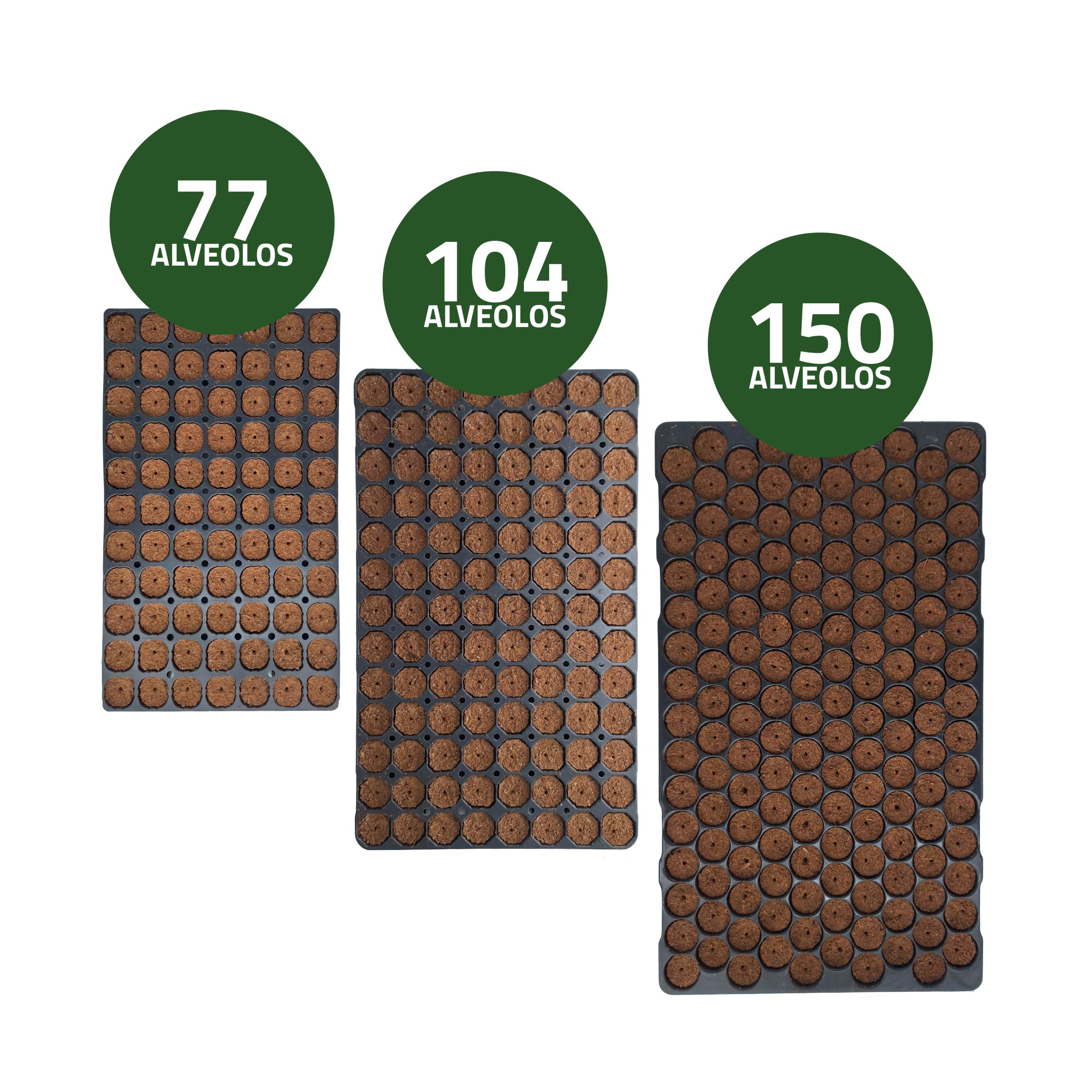 Semilleros Secos Bandeja de Germinación