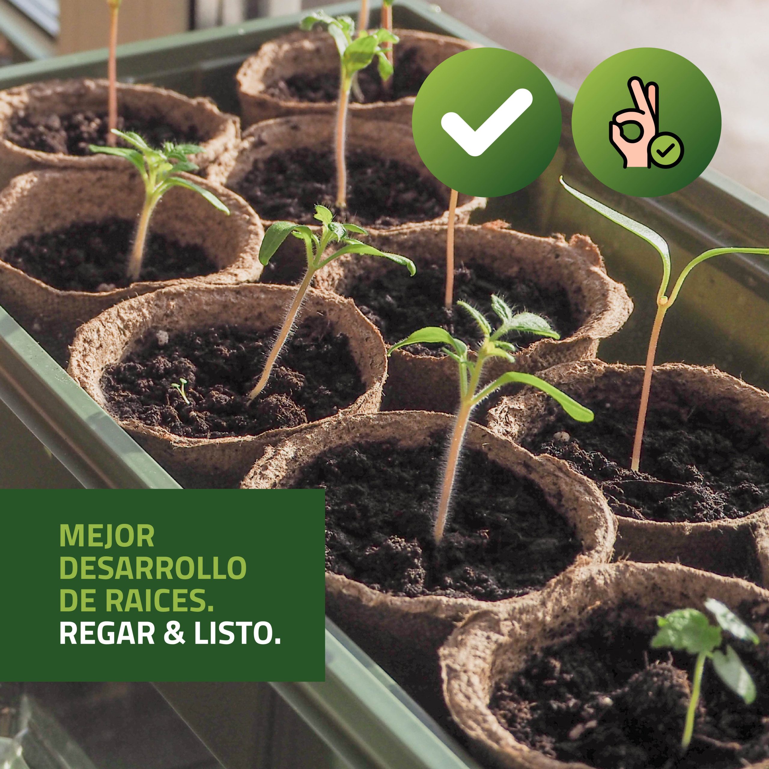 Semilleros Secos Bandeja de Germinación - Imagen 6