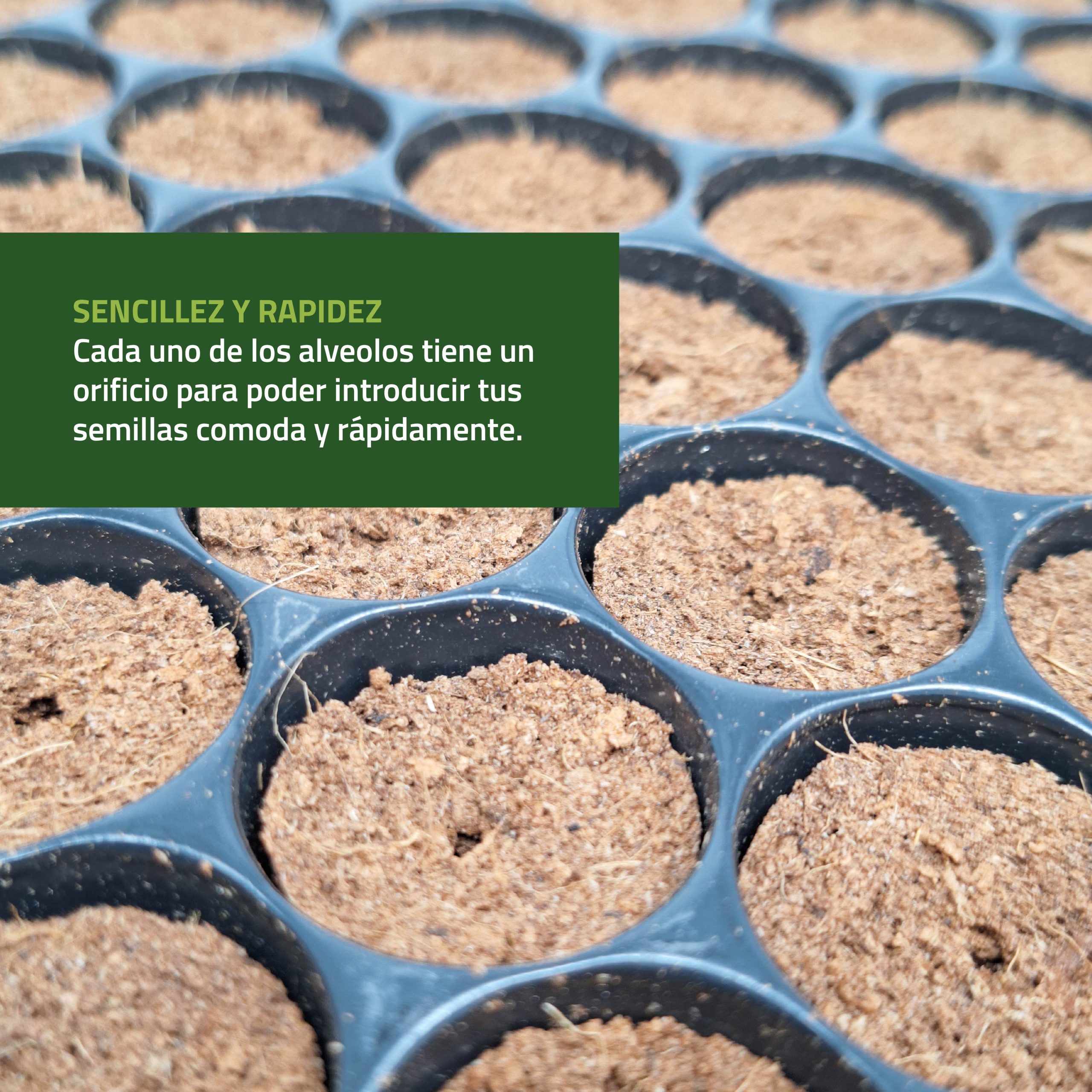 Semilleros Secos Bandeja de Germinación - Imagen 4