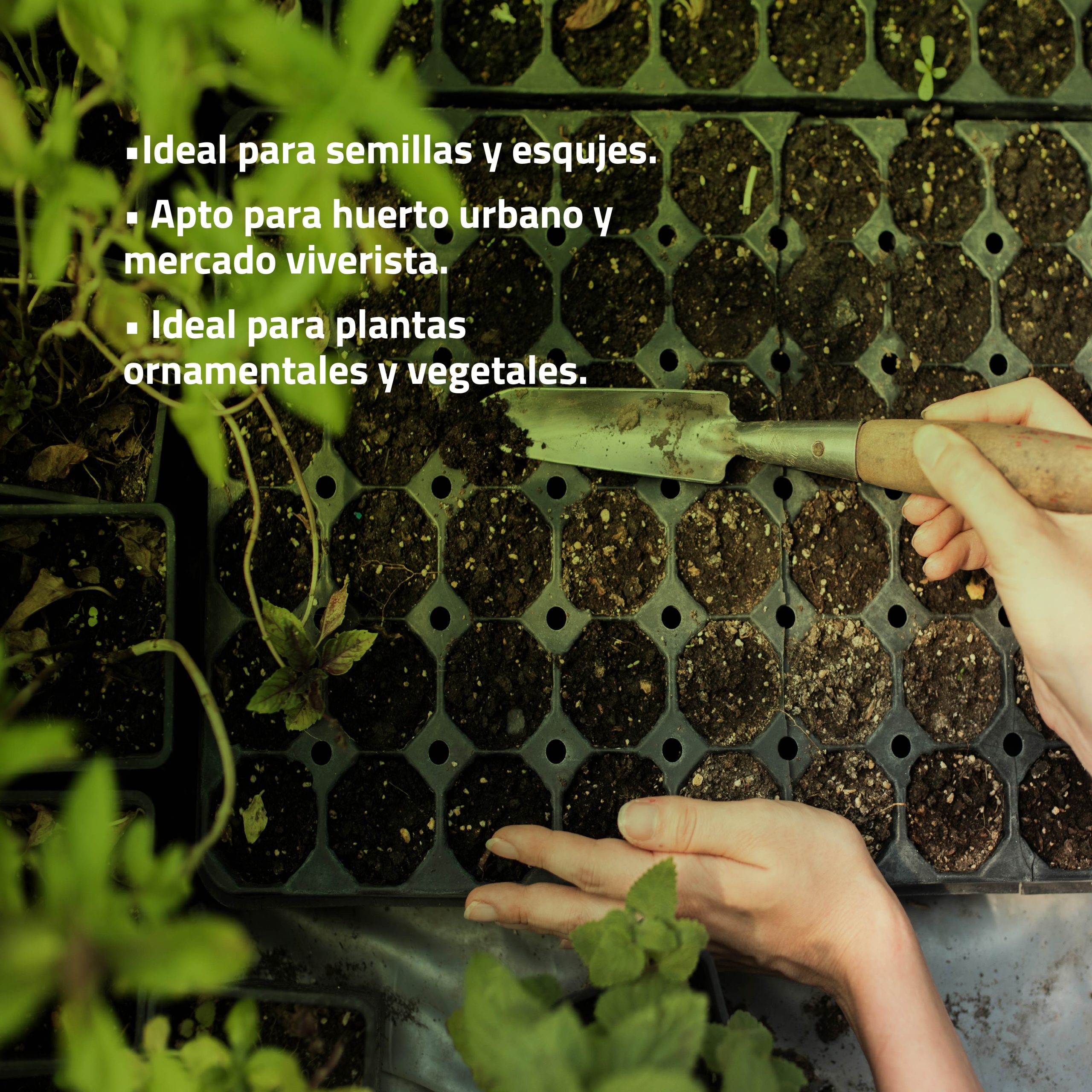 Semilleros Secos Bandeja de Germinación - Imagen 3