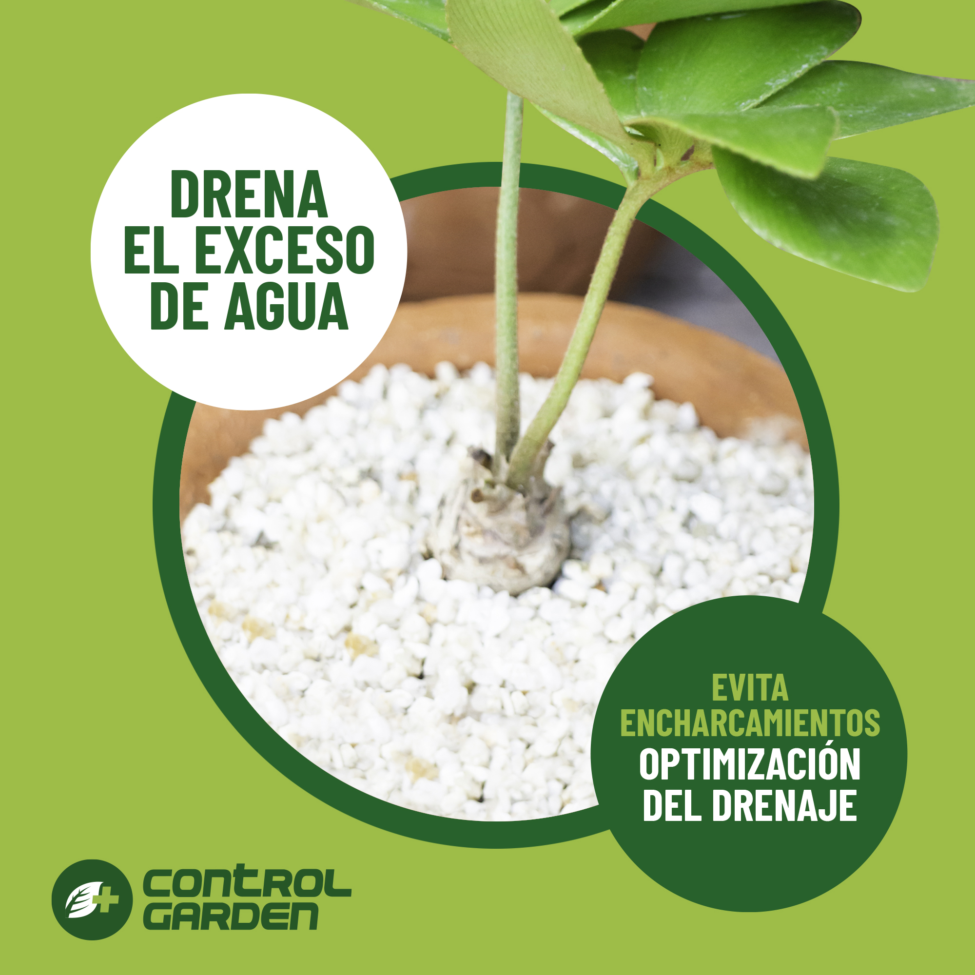 Perlita 10L - Sustrato Mineral Volcánico para Plantas y Cultivos de Interior y Exterior - Imagen 4