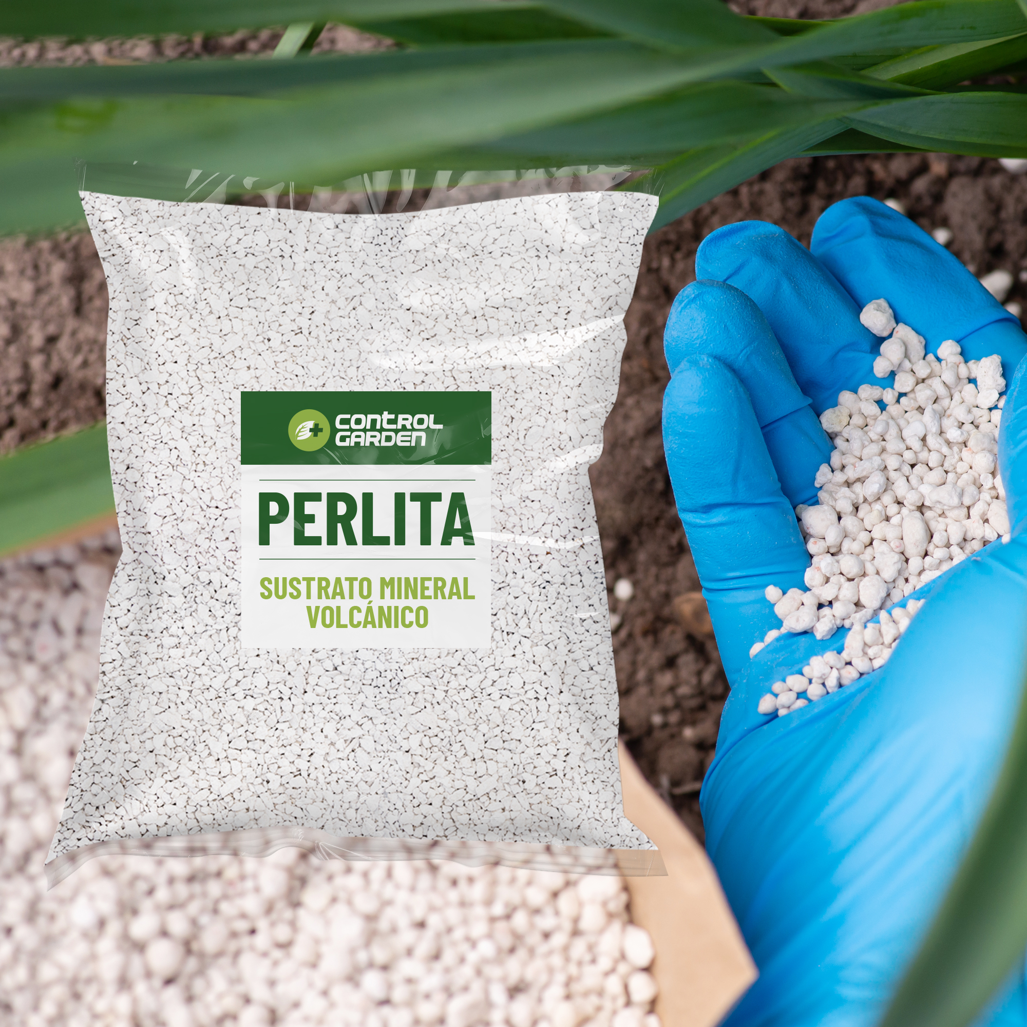Perlita 10L - Sustrato Mineral Volcánico para Plantas y Cultivos de Interior y Exterior - Imagen 8