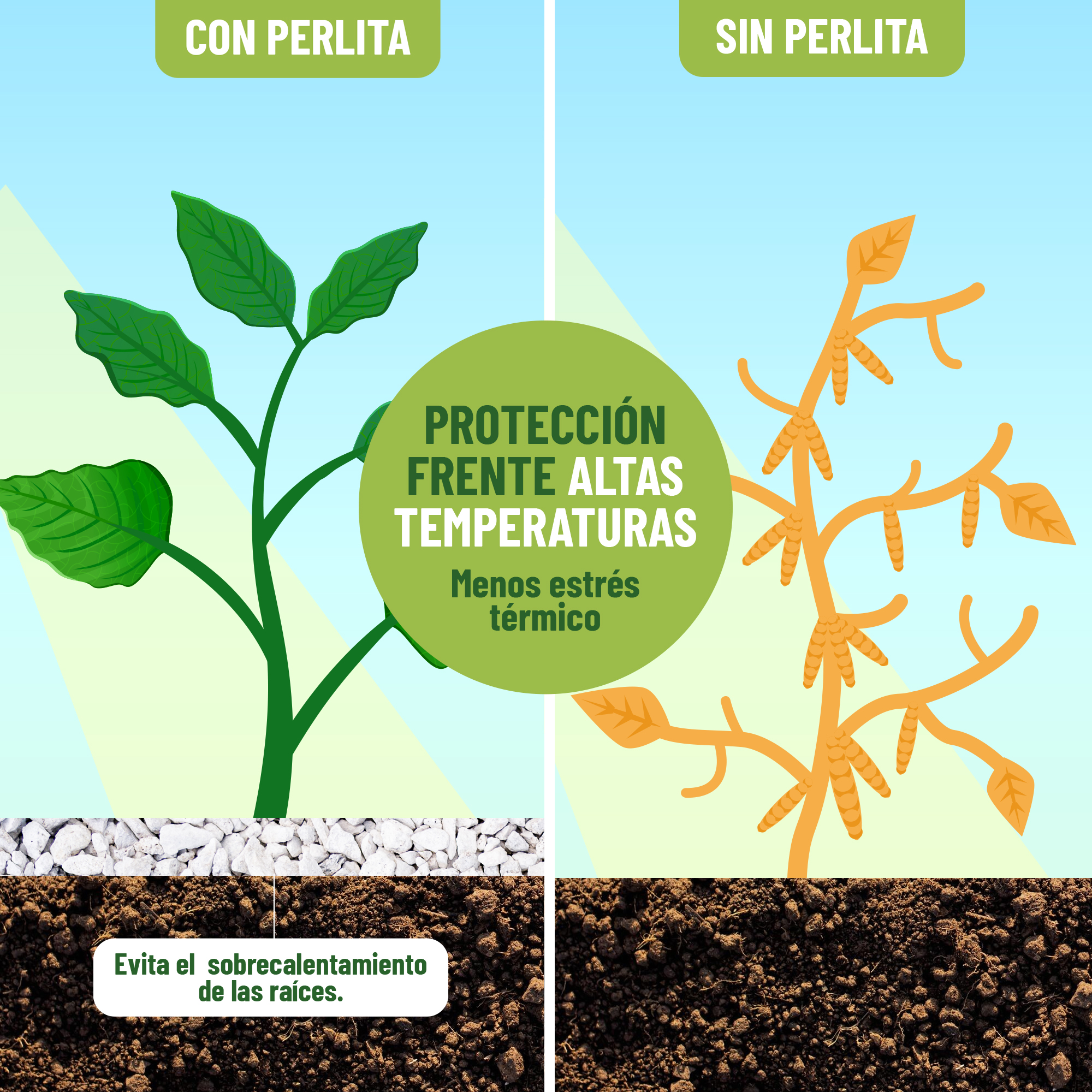 Perlita 10L - Sustrato Mineral Volcánico para Plantas y Cultivos de Interior y Exterior - Imagen 2