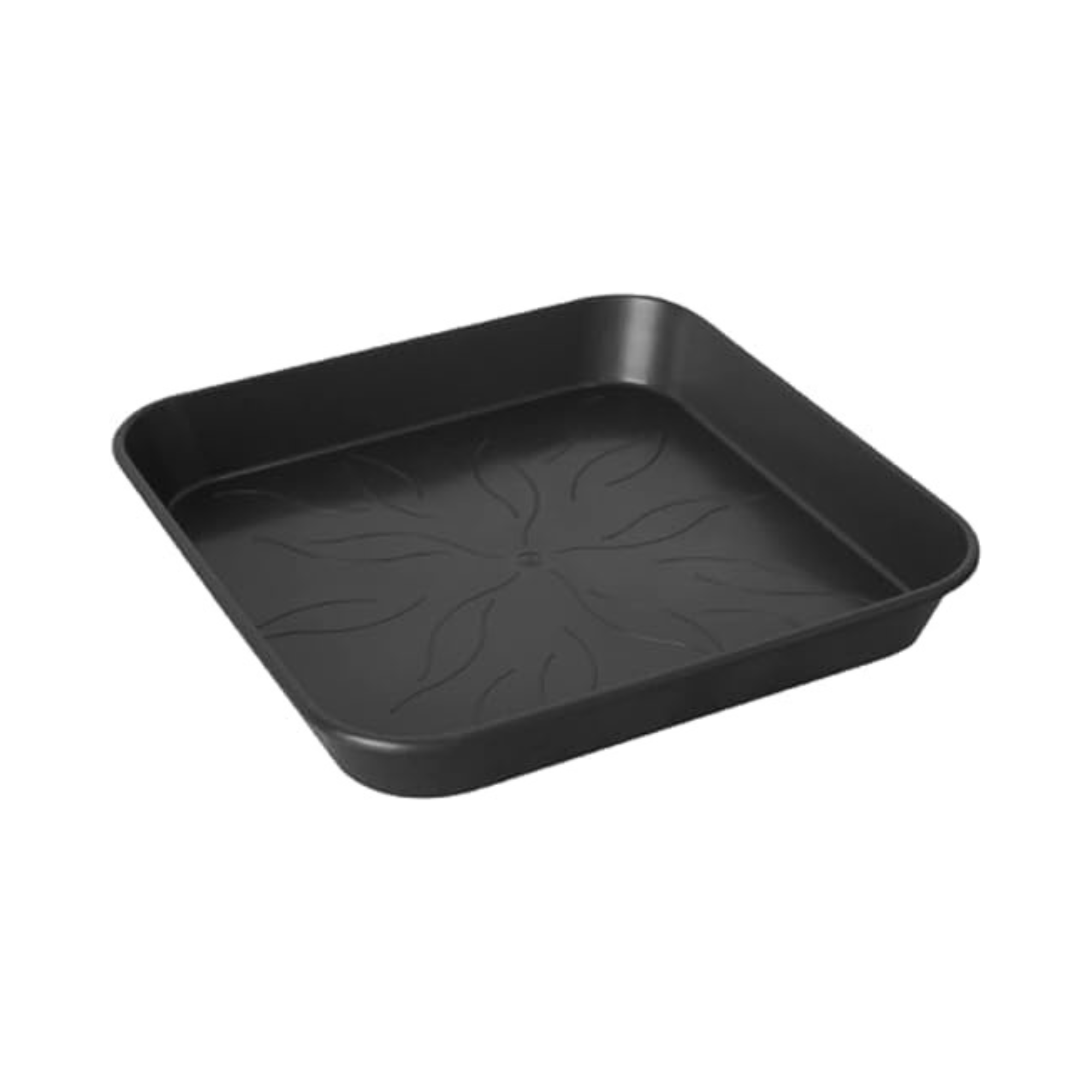 Pack Platos Cuadrados 25 x 25 cm