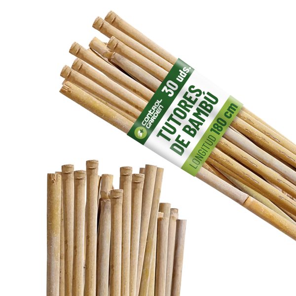 Pack 30 Tutores de Bambú 180 cm Diámetro - Soporte para Plantas 100% Natural